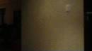 zomaar iets, film 00:00:24, 34 reacties, 272 stemmen