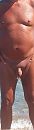 zomer 2016 strand, foto 391x1461, 7 reacties, 27 stemmen