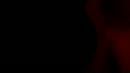 zoooo geil !, film 00:00:00, 4 reacties, 36 stemmen