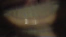 't is zooo geil!!, film 00:00:00, 2 reacties, 5 stemmen