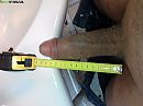 16 cm, foto 1280x960, 3 reacties, 11 stemmen