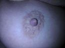 ?, foto 130x97, 0 reacties, 0 stemmen