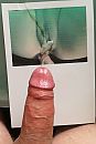 @vinchy1, foto 2525x3755, 1 reacties, 7 stemmen
