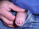 59, foto 2592x1944, 0 reacties, 1 stemmen