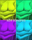 Alle kleuren, foto 514x640, 3 reacties, 10 stemmen