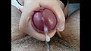 Alles wat er, foto 458x258, 0 reacties, 5 stemmen