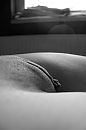 Almost 2018, time for Some ..., foto 500x750, 23 reacties, 124 stemmen