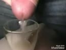 Als het geil is kan alles..., film 00:00:26, 8 reacties, 75 stemmen