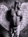 Angel, foto 618x800, 1 reacties, 4 stemmen