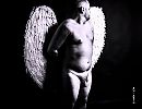 Angle, foto 800x618, 2 reacties, 5 stemmen