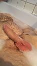 BADJE NEMEN, foto 1440x2560, 0 reacties, 3 stemmen