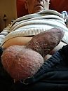 Ballen, foto 2448x3264, 2 reacties, 4 stemmen