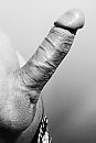 Best lullig, foto 714x1053, 5 reacties, 11 stemmen