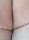 Billen, foto 1932x2576, 1 reacties, 2 stemmen