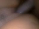 Black pussy, foto 2592x1944, 0 reacties, 3 stemmen