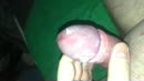Bloedgeil, film 00:00:00, 1 reacties, 3 stemmen