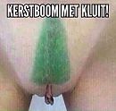 Boompje, foto 540x516, 1 reacties, 8 stemmen