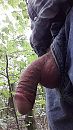 Boswandeling, foto 1080x1920, 19 reacties, 27 stemmen