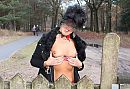 Boswandeling, foto 2393x1653, 11 reacties, 151 stemmen