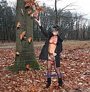 Boswandeling, foto 1893x1921, 9 reacties, 130 stemmen