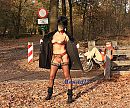 Boswandeling, foto 2783x2325, 34 reacties, 279 stemmen