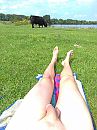 Bull in Ool, foto 3000x4000, 15 reacties, 36 stemmen