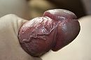 Close-up., foto 2816x1880, 1 reacties, 8 stemmen