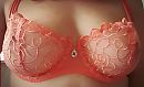 Close-up, foto 1801x1110, 1 reacties, 50 stemmen