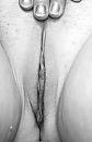 Close, foto 502x775, 9 reacties, 59 stemmen