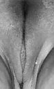 Close up, foto 320x524, 8 reacties, 53 stemmen