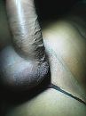 Close view, foto 480x640, 0 reacties, 1 stemmen