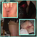 Cougar61, foto 700x700, 0 reacties, 2 stemmen