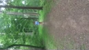 De boswandeling ;-), film 00:00:20, 46 reacties, 343 stemmen