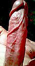 De PAAL, foto 255x468, 0 reacties, 0 stemmen