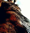 De vieze man...., foto 1074x1144, 0 reacties, 0 stemmen