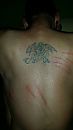 Die was raak, foto 2250x4000, 0 reacties, 1 stemmen