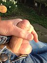 Dinsdagmiddag in de zon..., foto 2448x3264, 0 reacties, 1 stemmen