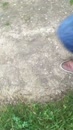 Even wandelen, film 00:00:00, 1 reacties, 11 stemmen