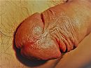Eikel., foto 2048x1536, 0 reacties, 1 stemmen