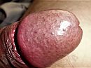 Eikel., foto 1836x1377, 2 reacties, 4 stemmen