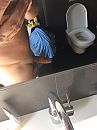 Even douchen, foto 2448x3264, 2 reacties, 2 stemmen