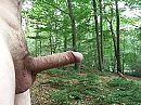 Even in het bos, foto 2576x1932, 3 reacties, 19 stemmen