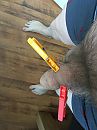 Even spelen, foto 3000x4000, 0 reacties, 4 stemmen