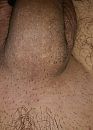 , foto 2316x3206, 1 reacties, 1 stemmen