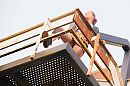 Ff flashen Geilpoessie, foto 1280x854, 2 reacties, 30 stemmen