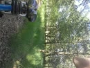 Fietsen is gezond ;), film 00:00:00, 20 reacties, 57 stemmen
