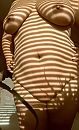 Flex Sunday, foto 1572x2576, 24 reacties, 132 stemmen