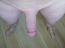 Fris geschoren, foto 3264x2448, 4 reacties, 5 stemmen