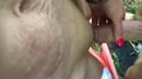 Frisse neus halen..., film 00:00:27, 5 reacties, 131 stemmen