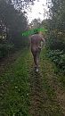 Gaan we wandelen, foto 2250x4000, 10 reacties, 66 stemmen